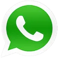 WhatsApp Mica Inteligente